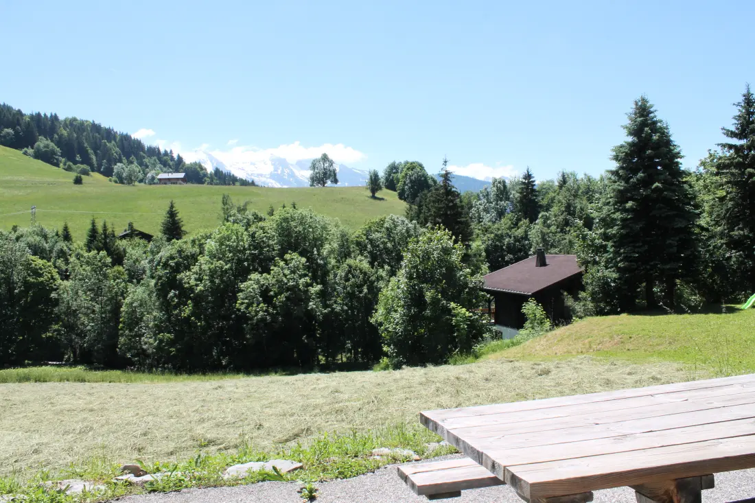 Residence Fleur Des Alpes N°5