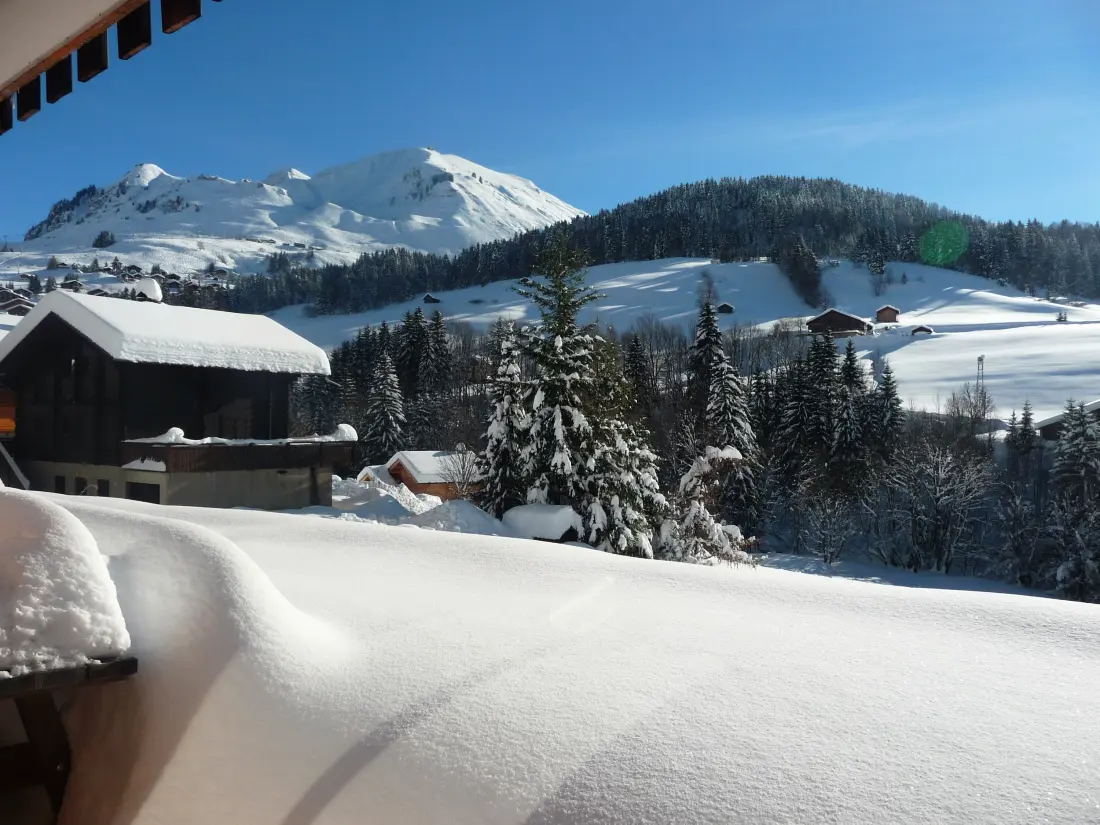 Residence Fleur Des Alpes N°5