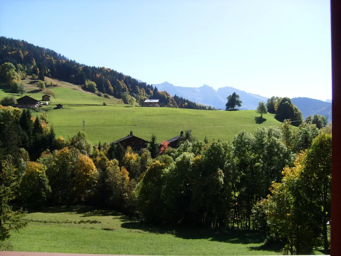 Fleur Des Alpes Residence No. 8