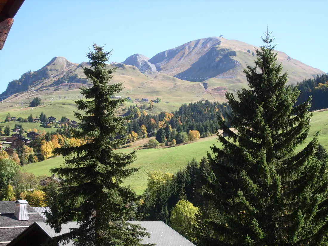 Fleur Des Alpes Residence No. 8