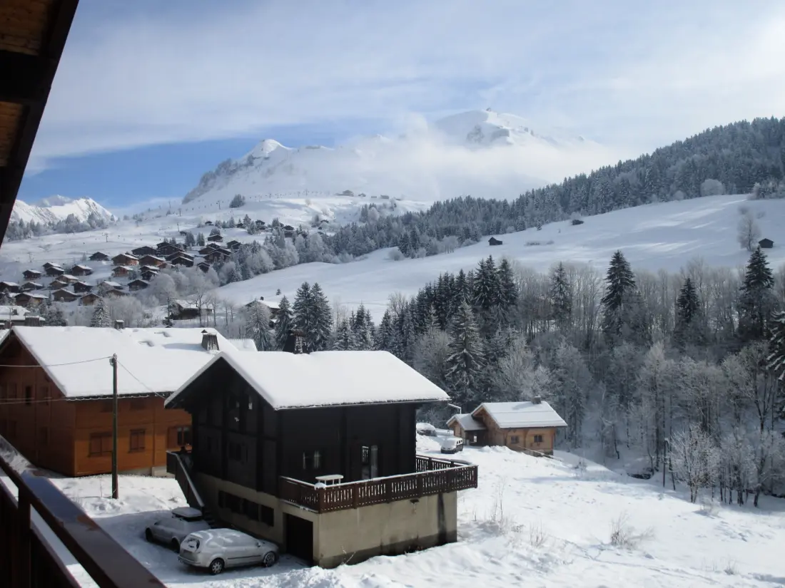 Fleur Des Alpes Residence No. 8