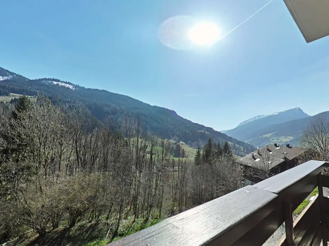 Residence Perce Neige