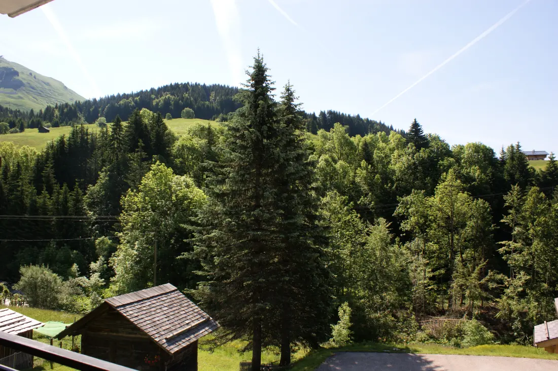 Touvière N° 7