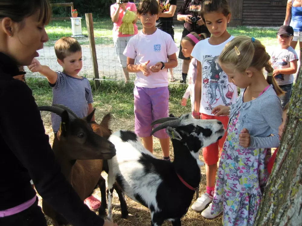 Camping le Grand Cerf 4 Sterren★★★★