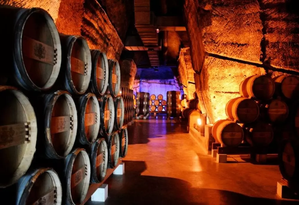 Camping le Grand Cerf 4 Sterren★★★★