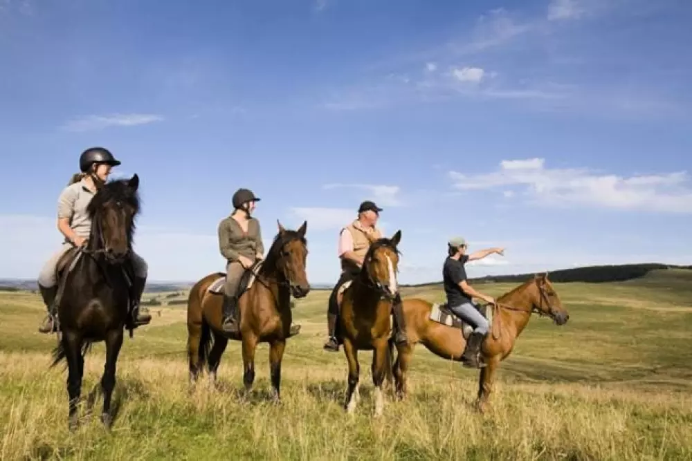 Camping le Grand Cerf 4 Sterren★★★★