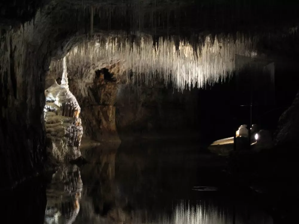 Camping le Grand Cerf 4 Sterren★★★★