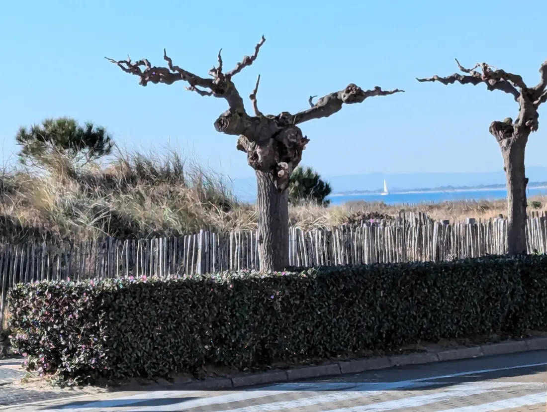 Apartmanok Le Grau-du-Roi