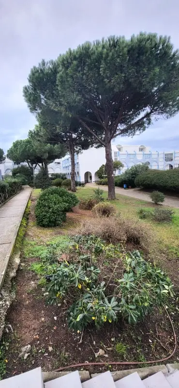 Bougainvilliers Residence Között úszómedence, strand és városközpont