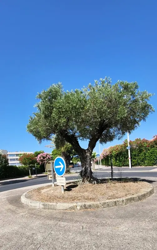 Duplex Residence Camargue Village
