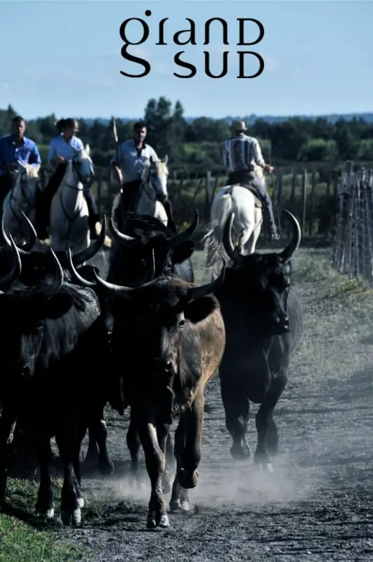 Residence L