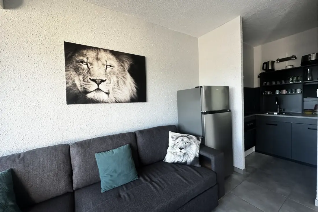 Résidence La Goélette – Apartman Terrace Near Beach Port Camargue