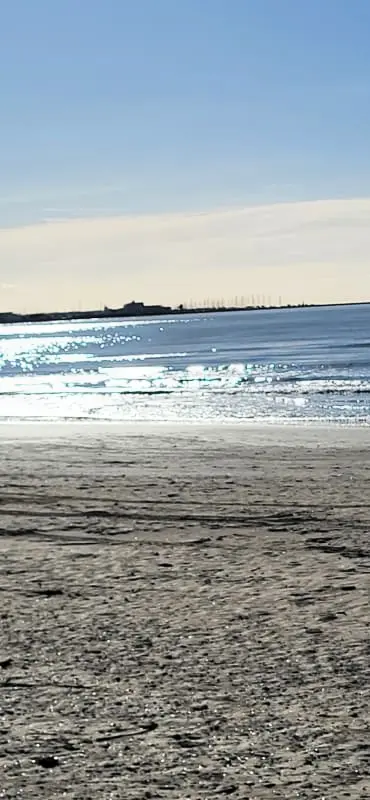 Résidence La Voile
