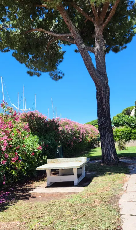 Residence Les Jardins 2 terasz, úszómedence a kikötőben 21 Csillagok★