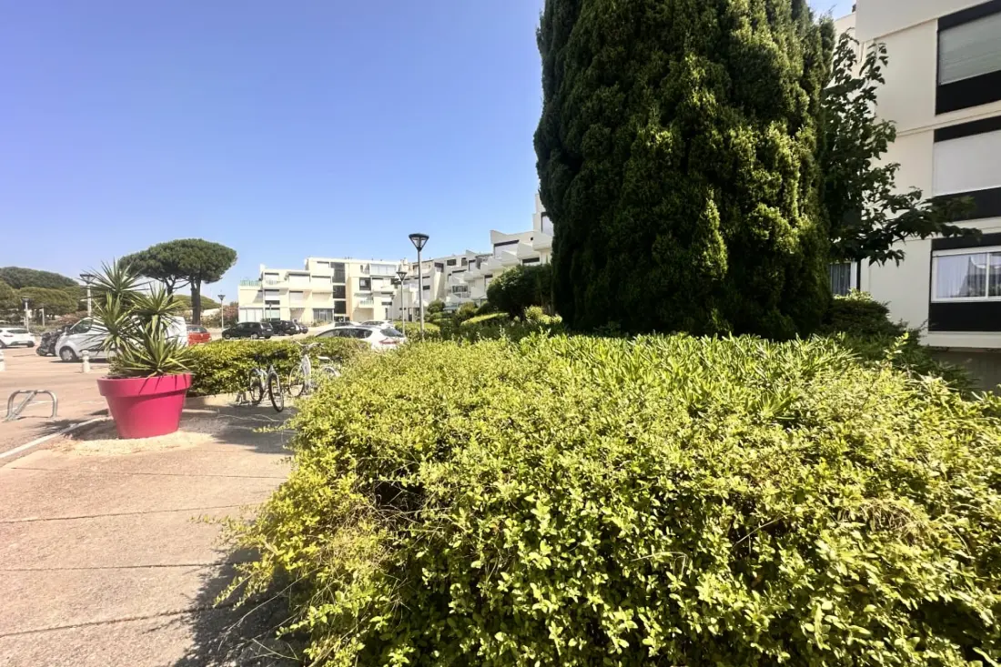 Residence Les Terrasses De L'espiguette - Stúdió felújított Terrace Beach