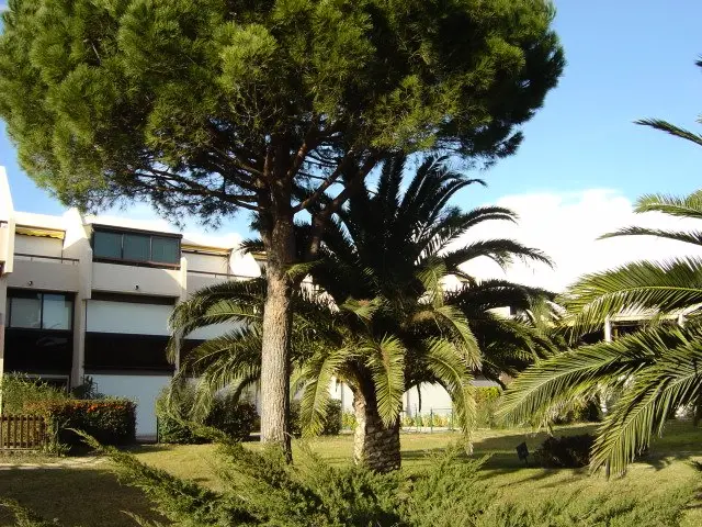 Residence Los Amigos 2