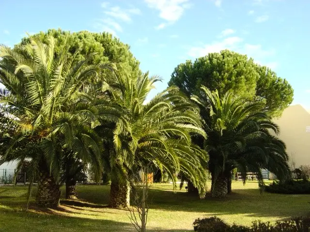 Residence Los Amigos 2