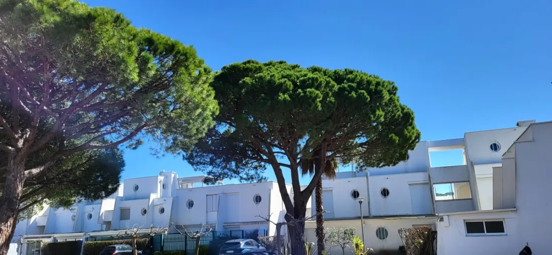 Marina Lairan lakóhely
