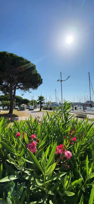 Terrace Residence a Quai Du Port De Plaisance