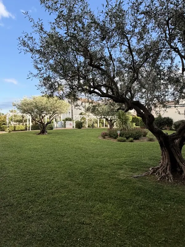 Residence Terrazze Du Lac – Vista lago Piscina Clim Parcheggio Terrazza