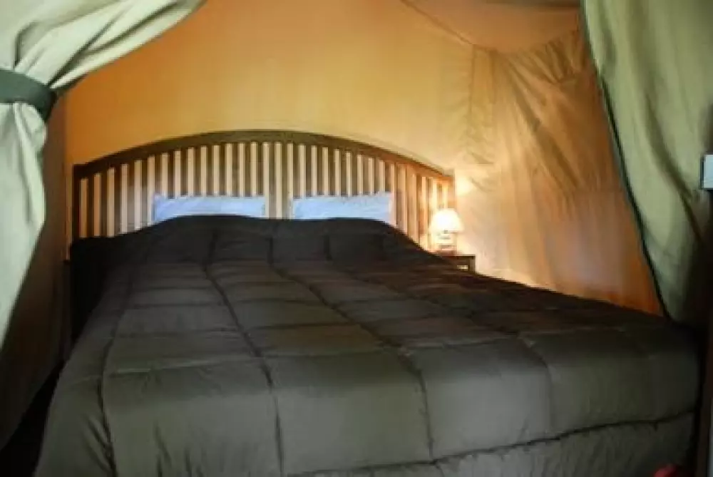 Camping les Tournesols 3 Sterren★★★