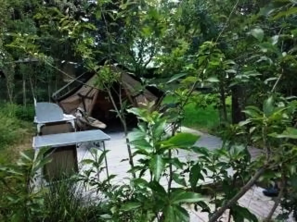 Camping les Tournesols 3 Sterren★★★