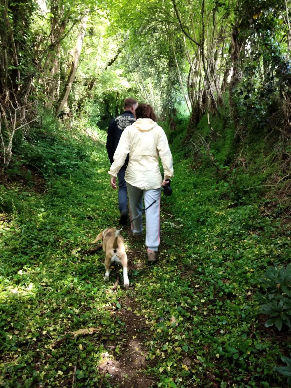 Camping les Tournesols 3 Sterren★★★