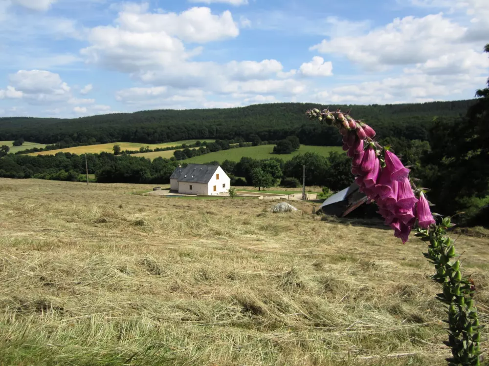 Camping les Tournesols 3 Sterren★★★