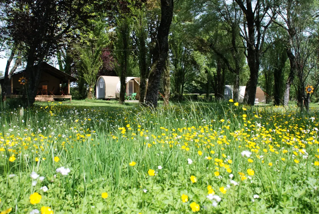 Camping Les Tournesols 3 étoiles★★★