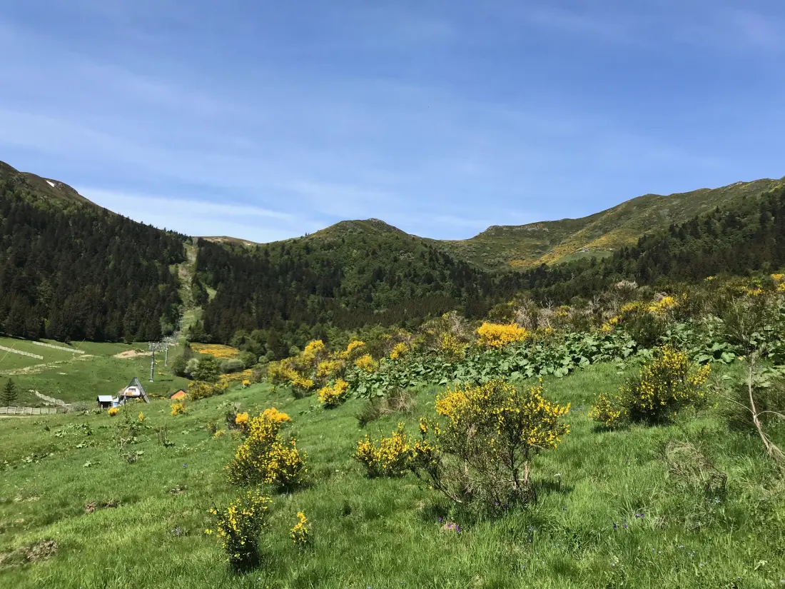 Apartmanok Le Lioran