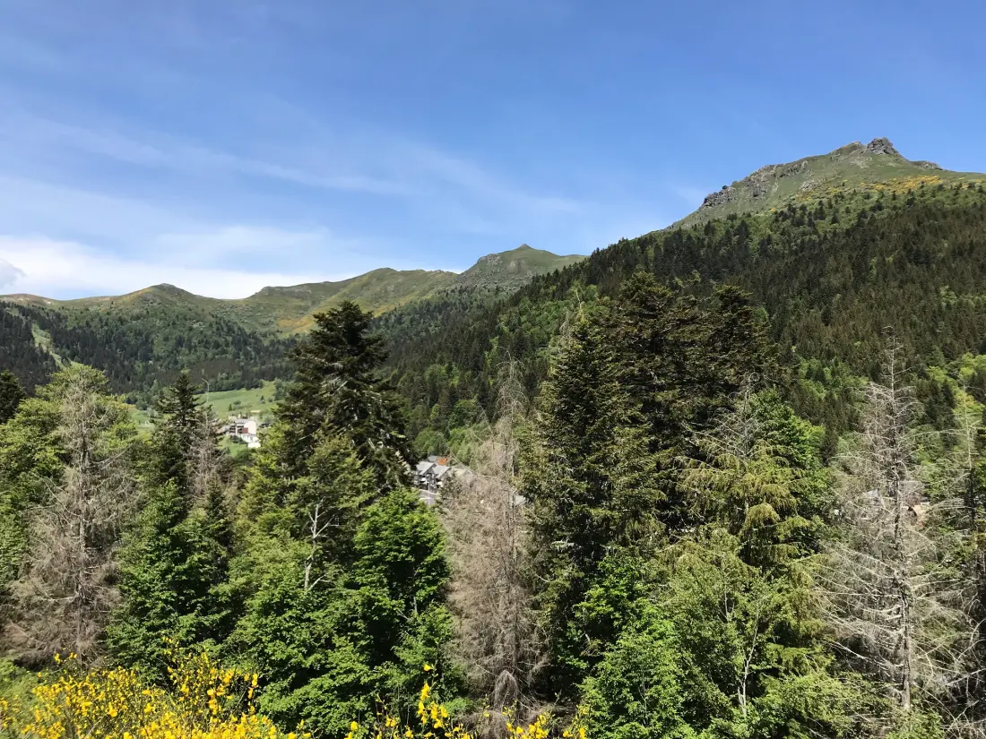 Apartmanok Le Lioran