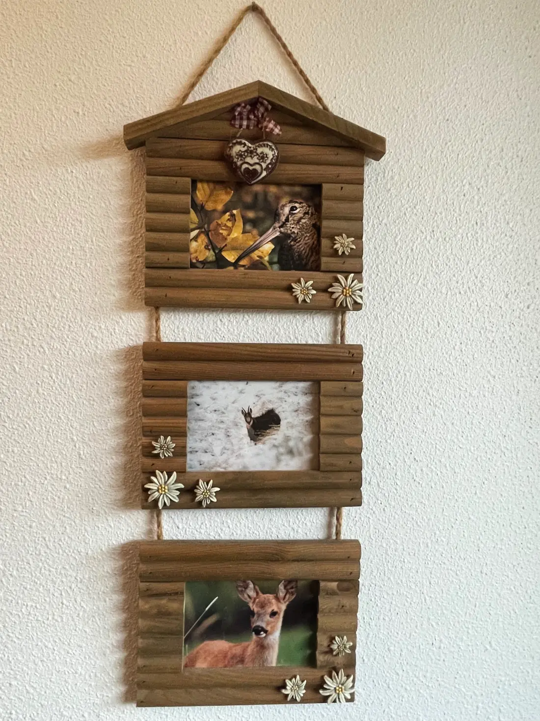 Apartmanok Le Lioran