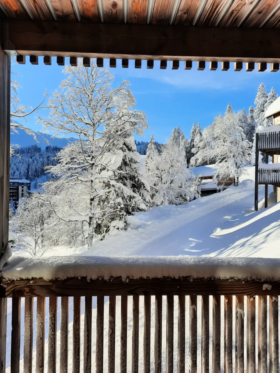 Apartmanok Le Lioran