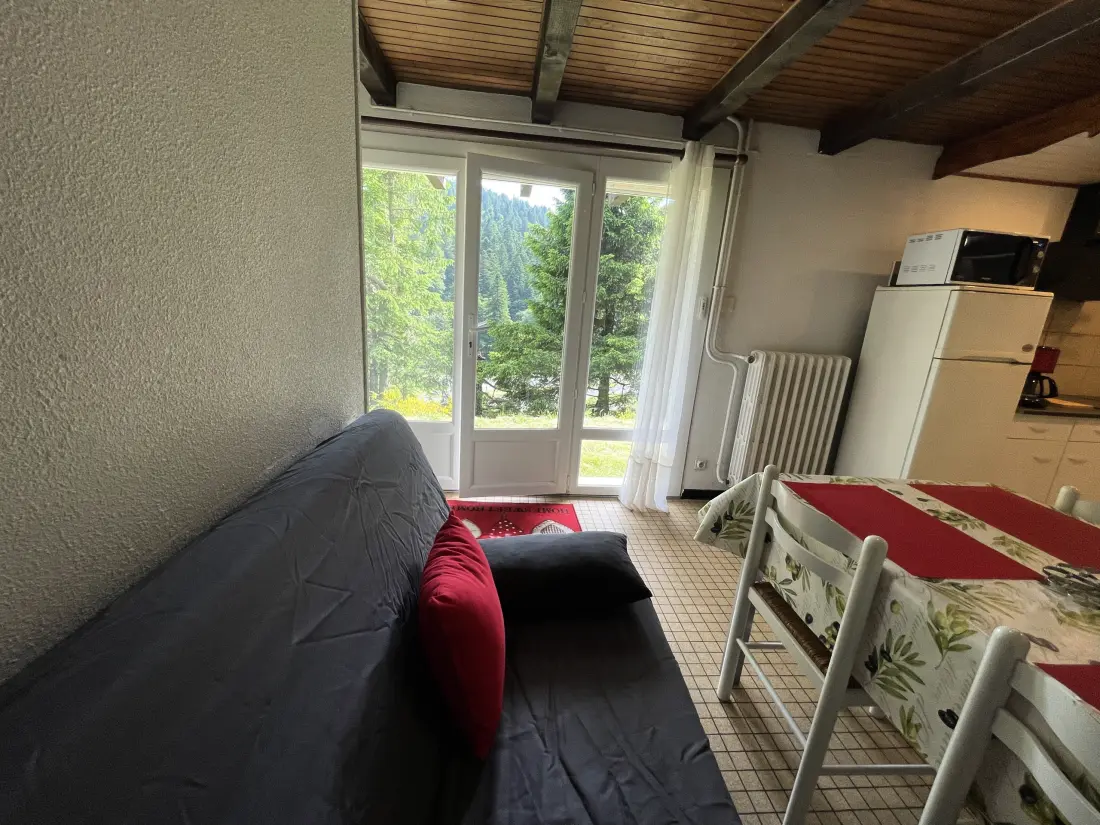 Apartmanok Le Lioran