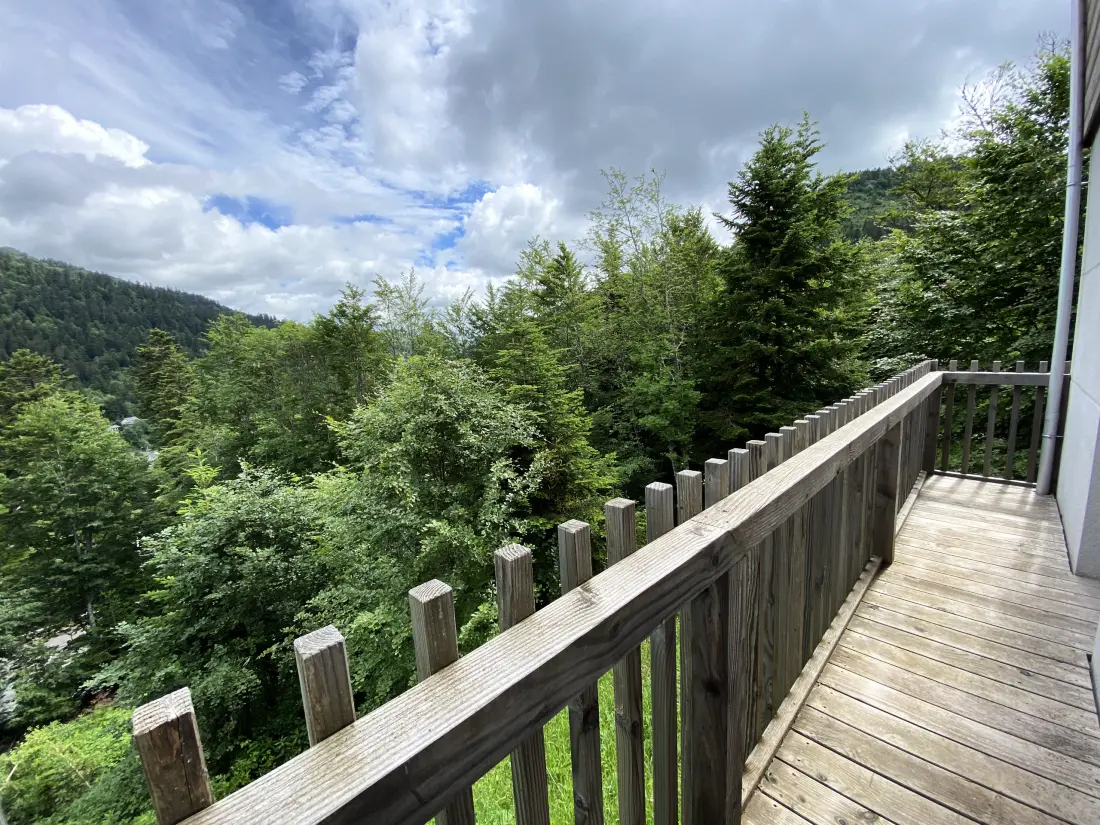 Chalets Le Lioran