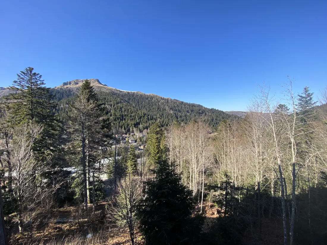 Chalets Le Lioran