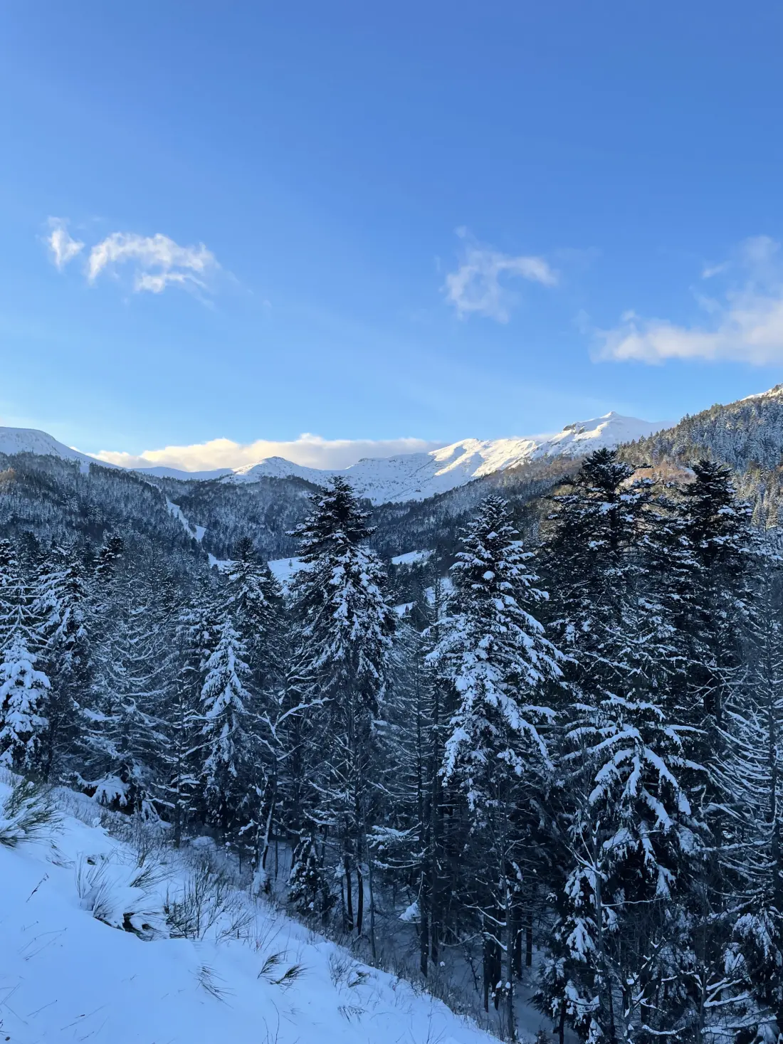 Chalets Le Lioran