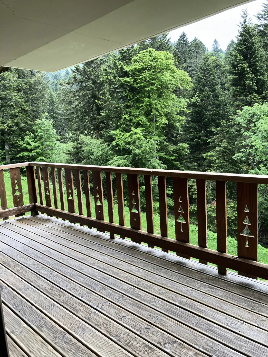 Chalets Le Lioran