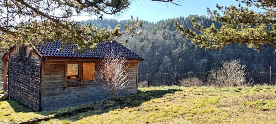 Cottage Rental