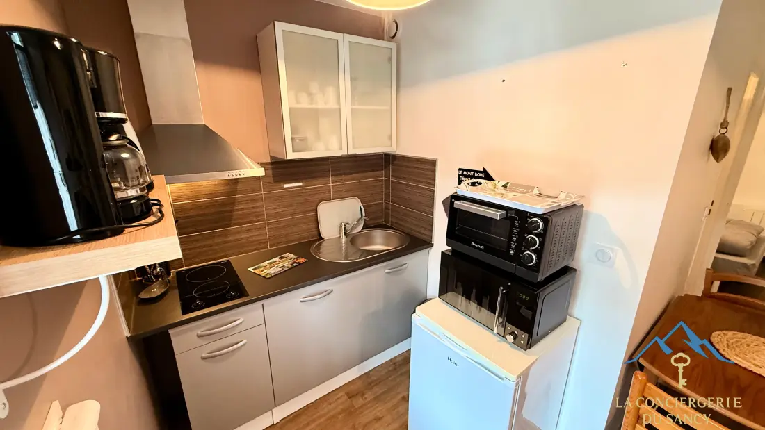 Appartements à Le Mont Dore
