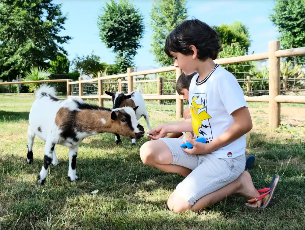 Camping Haliotis3 Sterren★★★