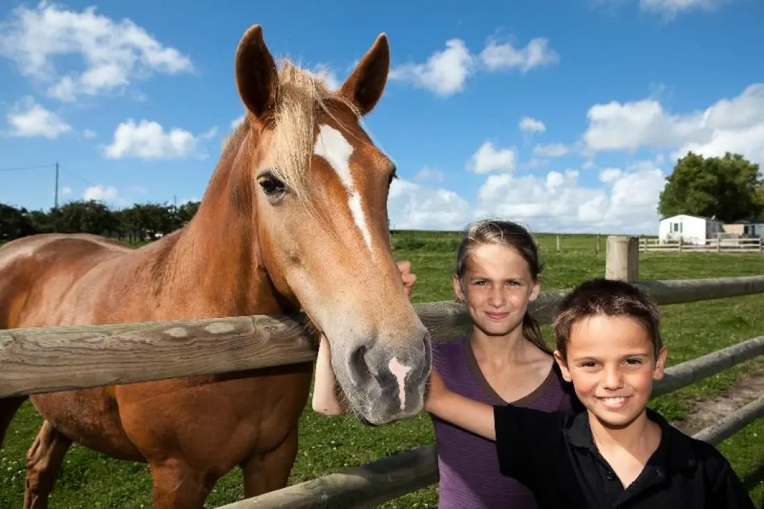 Camping Saint-Michel3 Sterren★★★