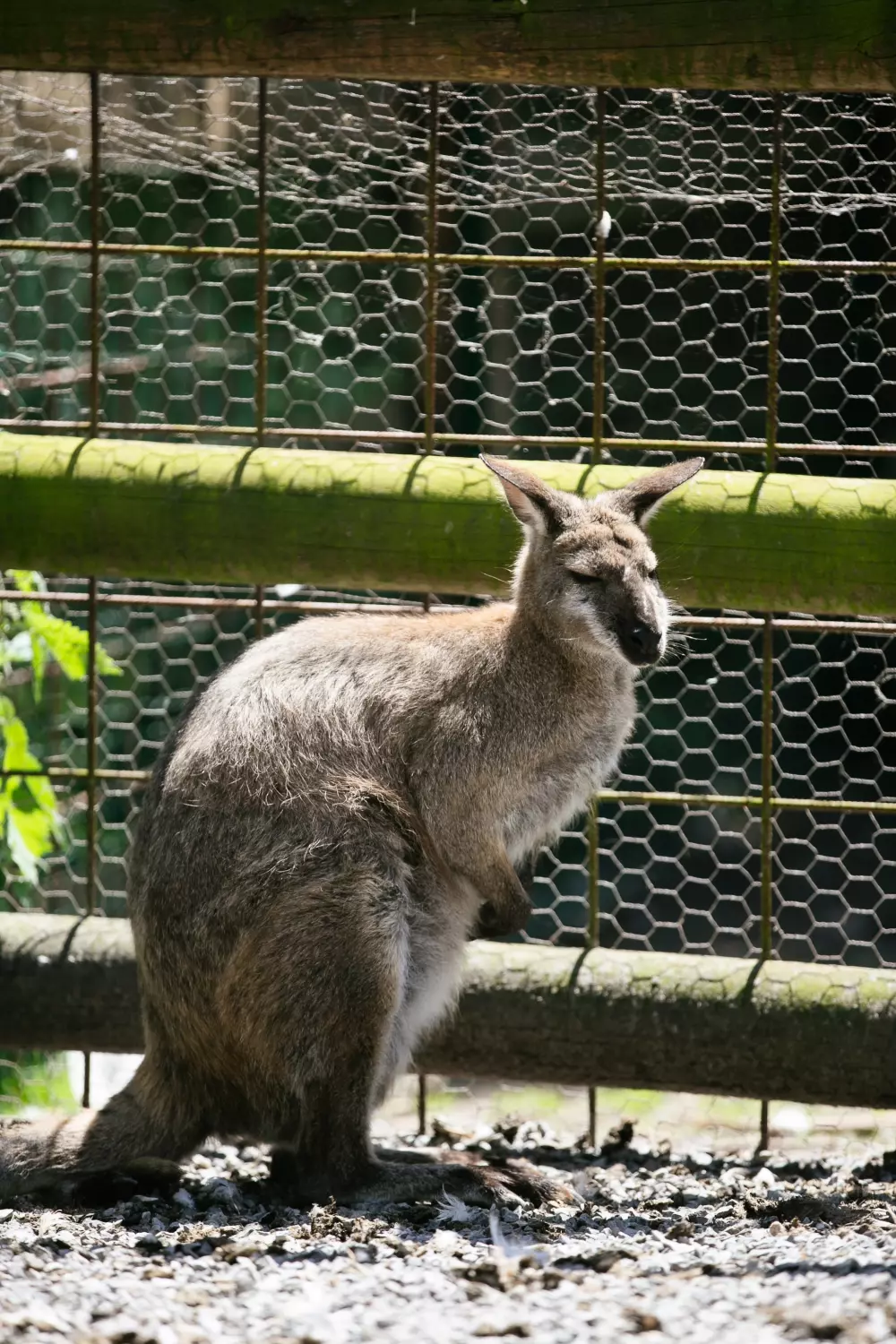 Camping Saint-Michel3 Sterren★★★