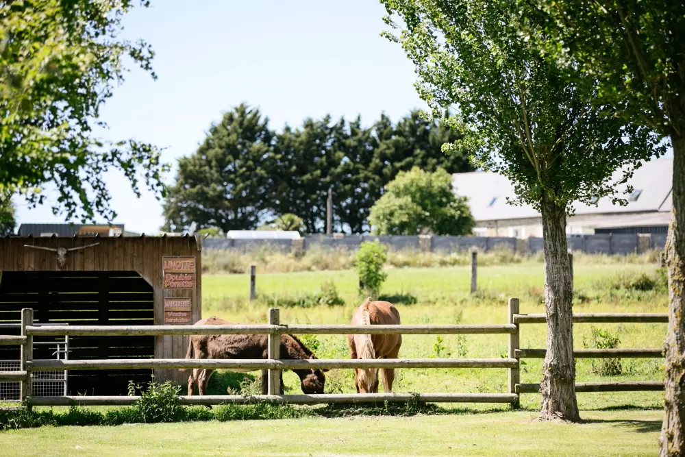 Camping Saint-Michel3 Sterren★★★