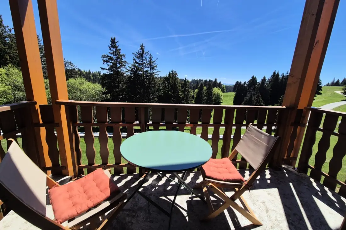 Charming Duplex a Pied des Pistes-nél - Balcony Full South & Mezzanine