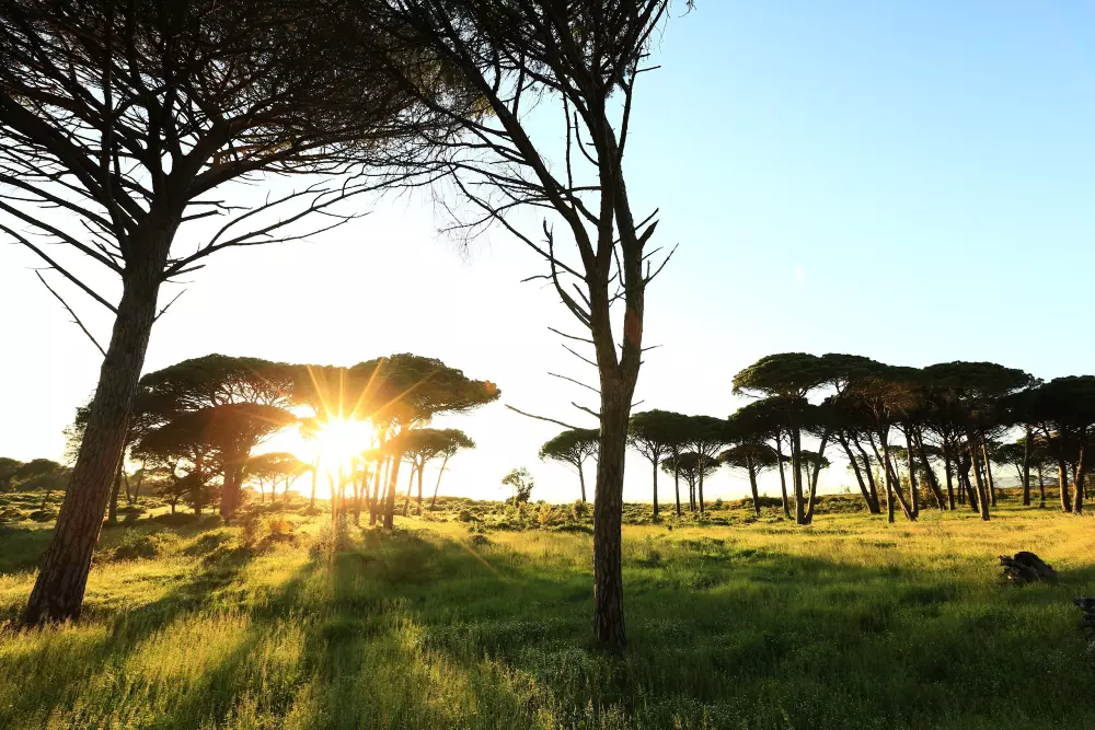 Camping Les Cigales 5 étoiles★★★★★