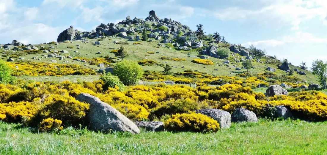 Gîte de France Gîte le millepertuis 2/4 pers à finiels 3 épis