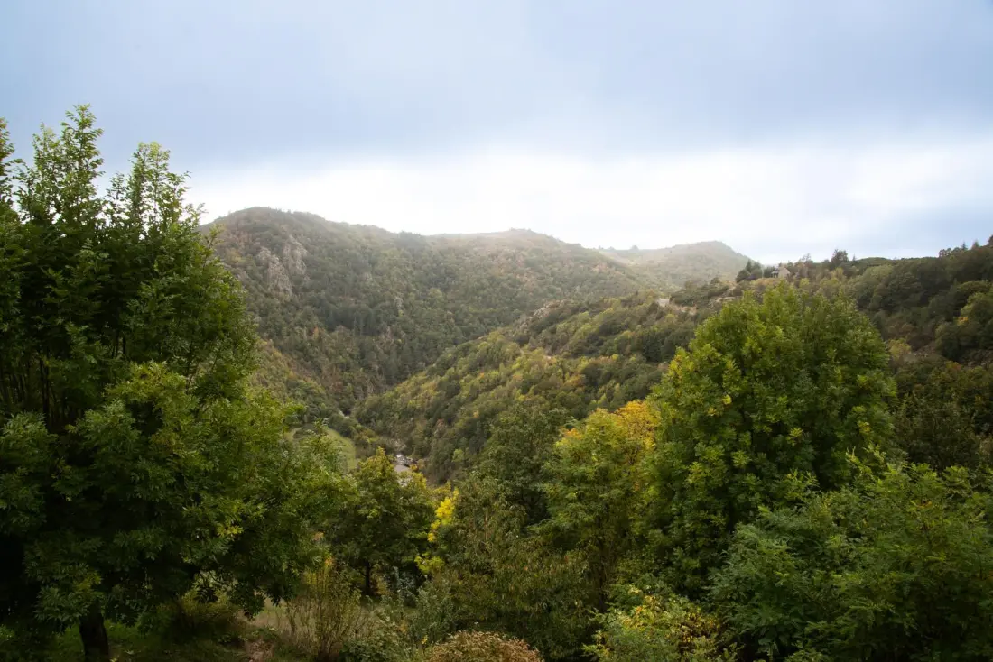 Gîte de France Gîte le mont lozère 2/4 Personen 2 Ähren