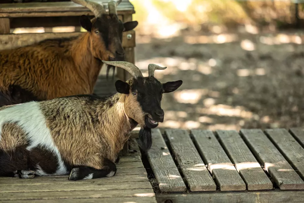 Camping La Pointe du Médoc