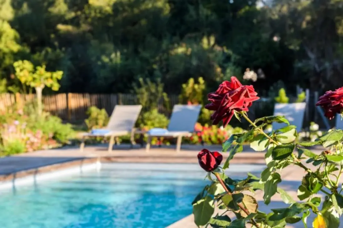Lodge Les Oliviers Di Lecci